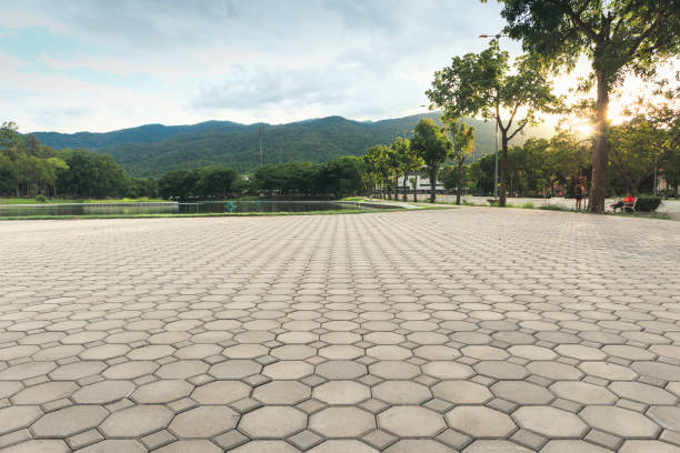 Best Custom Driveway Pavers  in Mandeville, LA